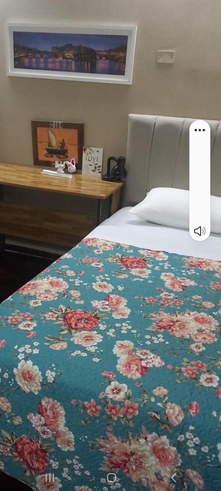 Victoria 3 Bed And Breakfast Есейса Екстер'єр фото